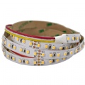 SMD3527 2 in 1 dual white LED strip 120LED/m