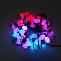 D24 digital Christmas LED light