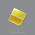 SMD5050 WW+W LED diode