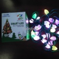 Remote control Christmas LED bulbs set