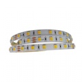 SMD5050 2 in 1 dual white LED strip 60LED/m